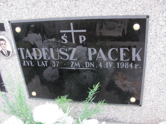 Tadeusz Pacek 1947 Wąchock - Grobonet - Wyszukiwarka osób pochowanych