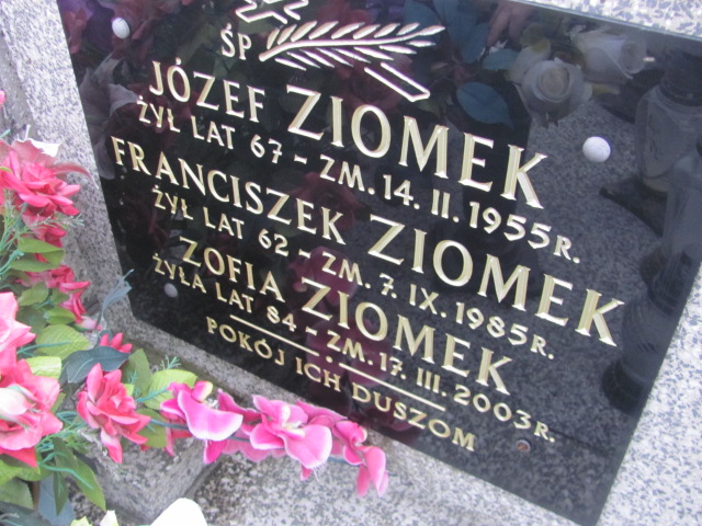 Józef Ziomek 1887 Wąchock - Grobonet - Wyszukiwarka osób pochowanych