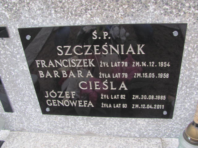 Franciszek Szcześniak 1876 Wąchock - Grobonet - Wyszukiwarka osób pochowanych