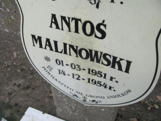 Antoni Malinowski 1951 Wąchock - Grobonet - Wyszukiwarka osób pochowanych